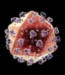 virusom-hiv-a-izlečili-bolest-mozga